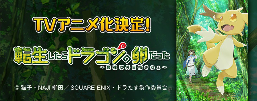 TVアニメ「転生したらドラゴンの卵だった　～最強以外目指さねぇ～」